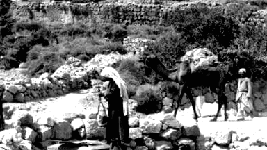 لو ينطق الحجر والحجر.. بقلم: شهربان معدّي - يركا