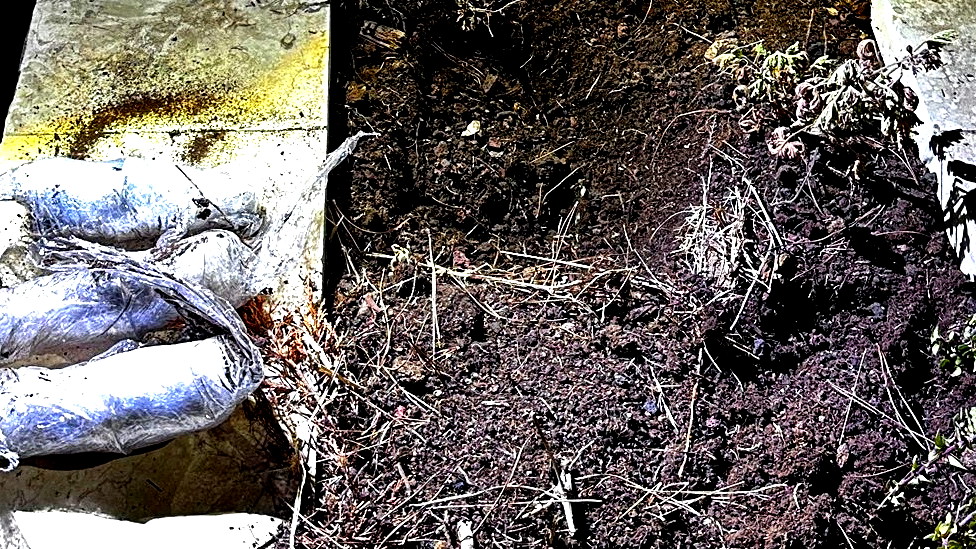 ضبط اسلحة داخل قبر ببلدة الزرازير