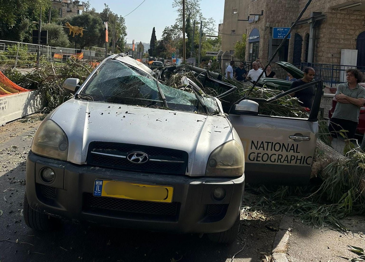 القدس: إصابة سائح (40 عامًا) بجراح متوسطة جراء سقوط شجرة على سيارته 