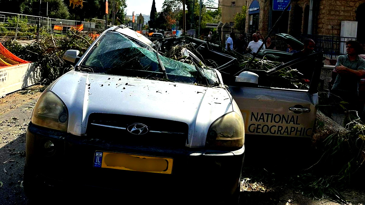 القدس: إصابة سائح (40 عامًا) بجراح متوسطة جراء سقوط شجرة على سيارته