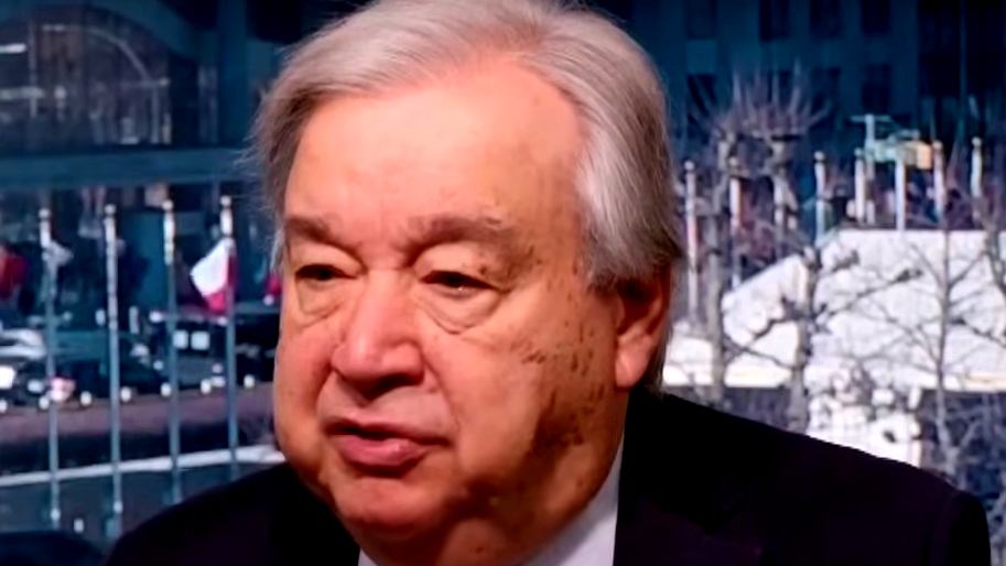 مجاعة غزة تتفاقم: 281 وفاة بينهم 114 طفلا والأمم المتحدة تعلن المجاعة رسميًا