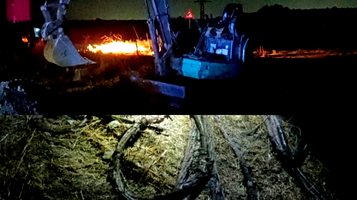 اعتقال شابين من دالية الكرمل بشبهة سرقة كوابل