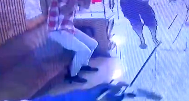 سطو مسلّح! اقتحام أحد محال الذّهب في مدينة الخليل وإطلاق النار على أحد موظفي المكان 