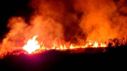 الجيش الاسرائيلي: اطلاق 5 صواريخ من قطاع غزة باتجاه اشدود وتم اعتراضها