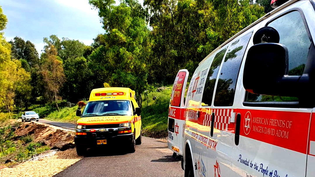 وفاة رجل (47 عامًا) إثر تعرّضه للسعة دبور في الجولان