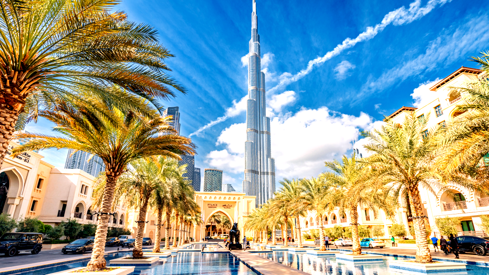 دبي: صحراء مزهرة أم خدعة خضراء؟