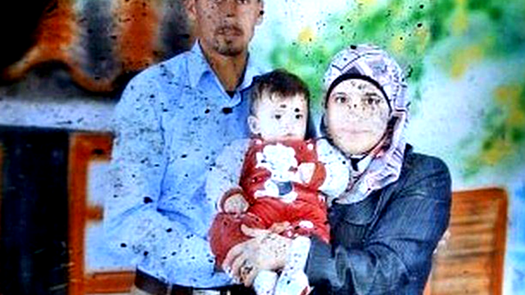 وزير القضاء الاسرائيلي يطالب هيرتسوغ باصدار عفو عام عن 5 مستوطنين  من بينهم حارق عائلة دوابشة 