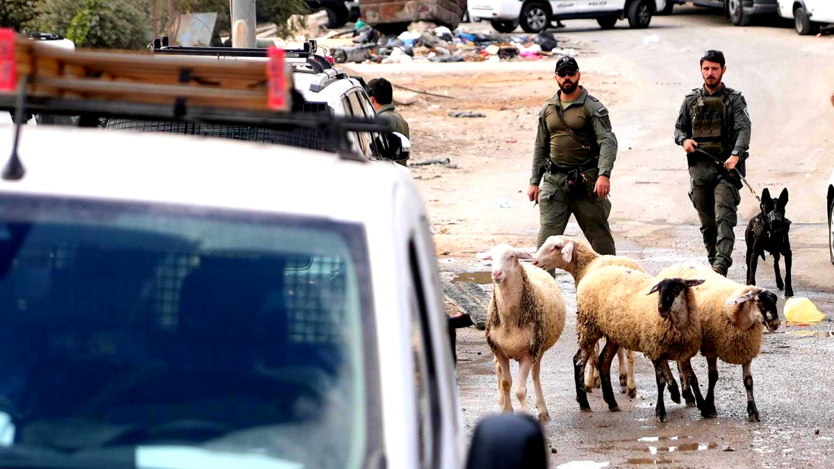 تقديم لائحة اتهام ضد شخصين من سكان الضفة الغربية بشبهة الاتجار بالمخدرات