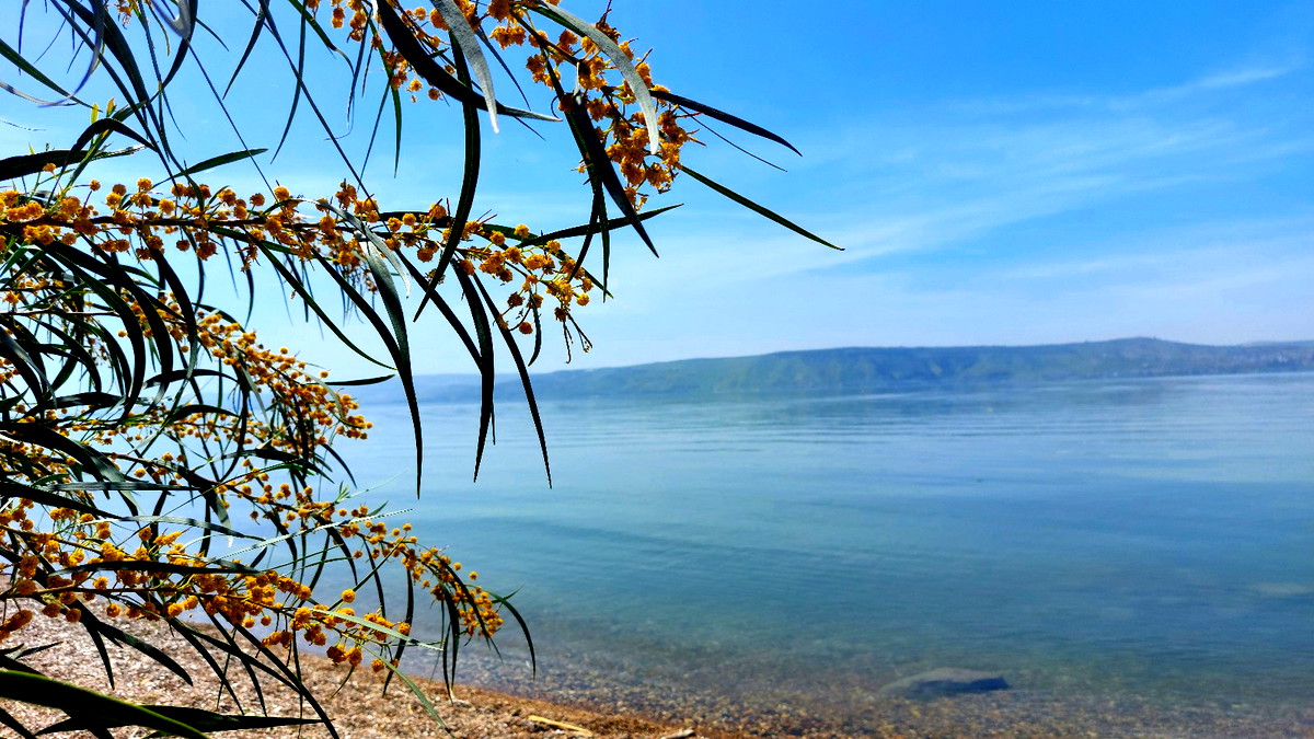 حالة الطقس : يبقى الجو في الإطار الخريفي المعتدل نهاراً