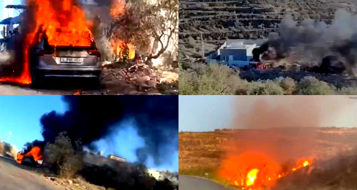 تصاعد اعتداءات المستوطنين في الضفة وتقرير أممي يوثق 60 هجومًا خلال أسبوع