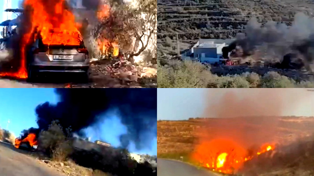 تصاعد اعتداءات المستوطنين في الضفة وتقرير أممي يوثق 60 هجومًا خلال أسبوع