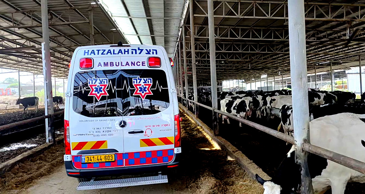 إصابة متوسطة لعامل إثر سقوطه عن سطح حظيرة في المركز