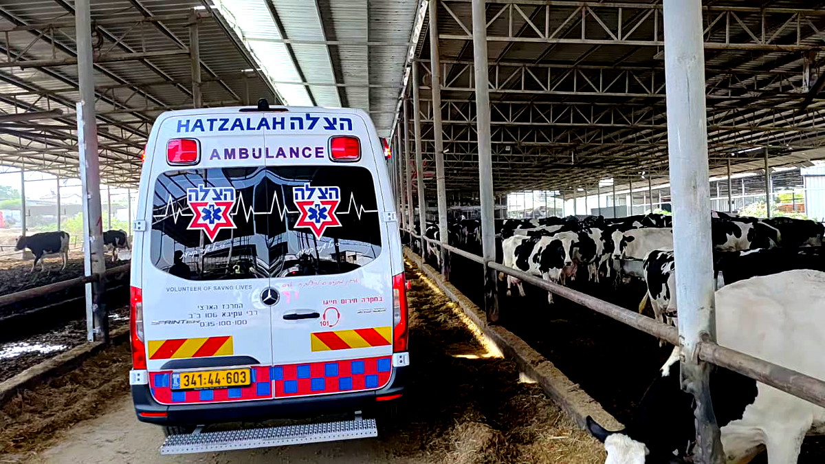 إصابة متوسطة لعامل إثر سقوطه عن سطح حظيرة في المركز