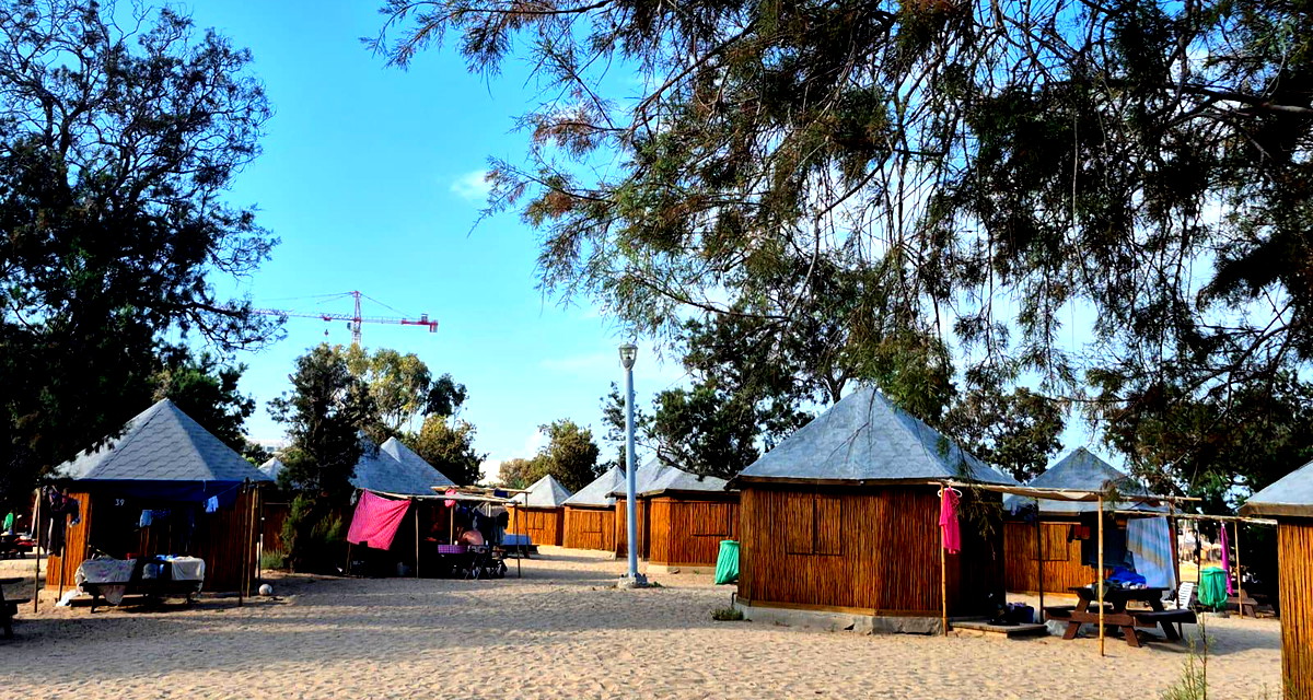 حالة الطقس : يبقى الجو أقرب للصيفي في النهار، وتكون الحرارة أعلى من المعدلات السنوية