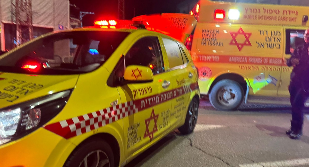 نحف: إصابة رجل بجروح متوسطة إثر تعرضه لهجوم من قبل كلب