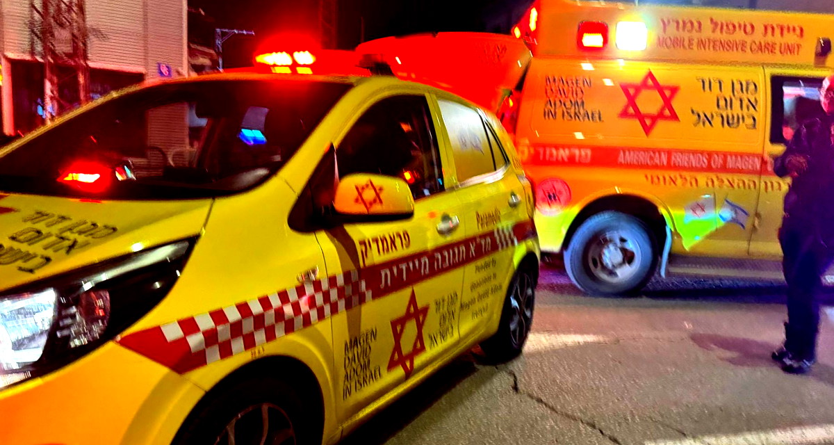 نحف: إصابة رجل بجروح متوسطة إثر تعرضه لهجوم من قبل كلب