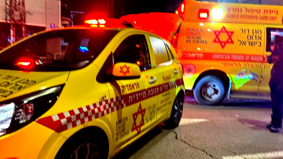 نحف: إصابة رجل بجروح متوسطة إثر تعرضه لهجوم من قبل كلب