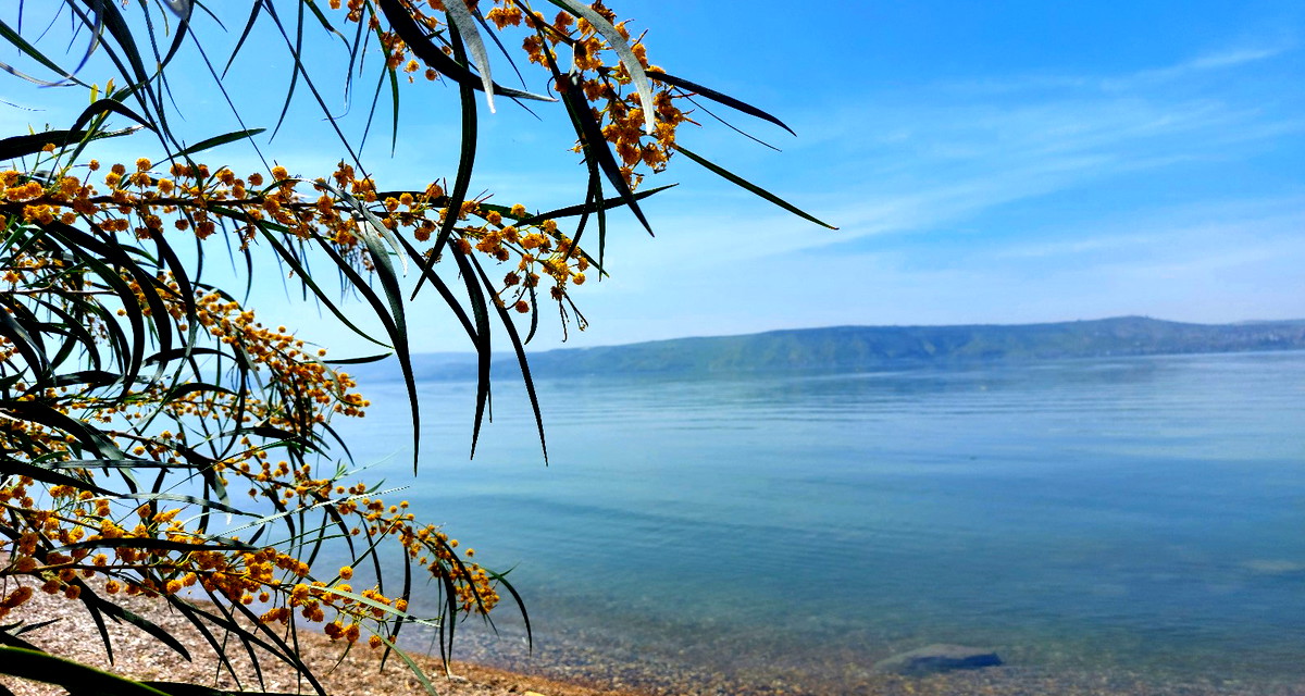 الطقس: أجواء حارة وأعلى من معدلها السنوي العام بـ5 درجات مئوية 