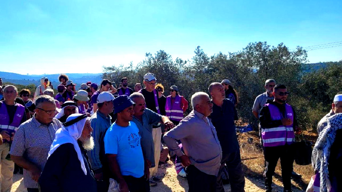 "نقف معًا": مستمرون بمرافقة المزارعين الفلسطينيين في وجه المستوطنين ونطالب الدولة بالتحرك بجدية
