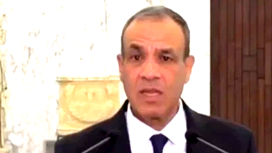 وزير الخارجية المصري يدعو إلى تشكيل قوة دولية في غزة ويؤكد أهمية تنفيذ اتفاق شرم الشيخ