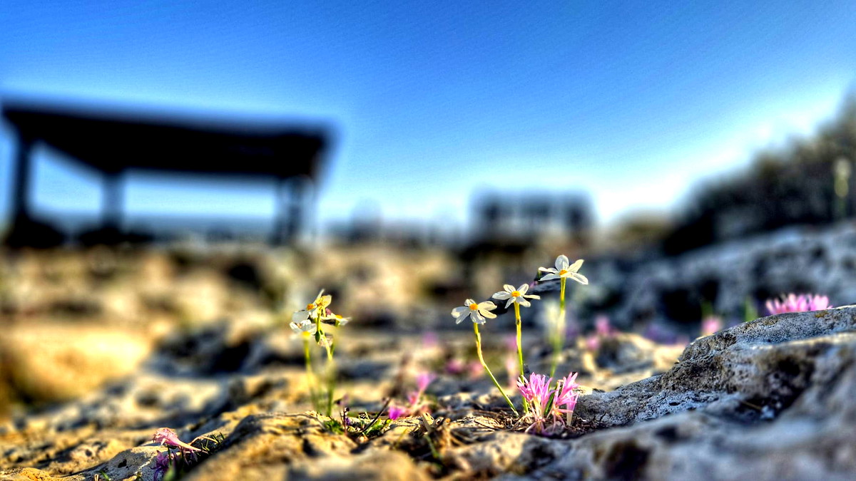 أجواء خريفية وارتفاع الحرارة خلال الأيام المقبلة