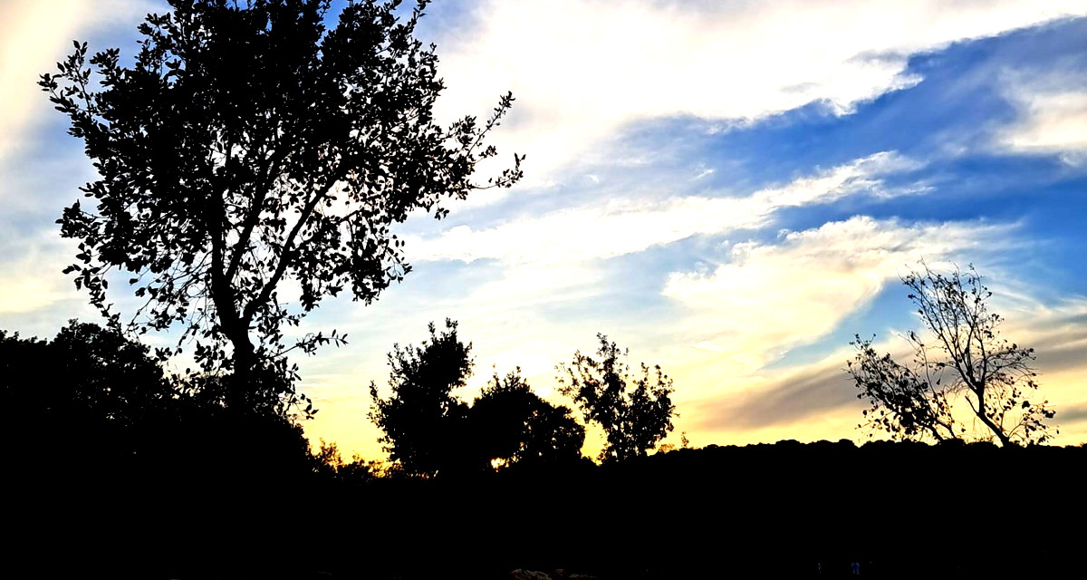 حالة الطّقس: أجواء غائمة جزئيًا باردة ويطرأ انخفاض طفيف على درجات الحرارة 