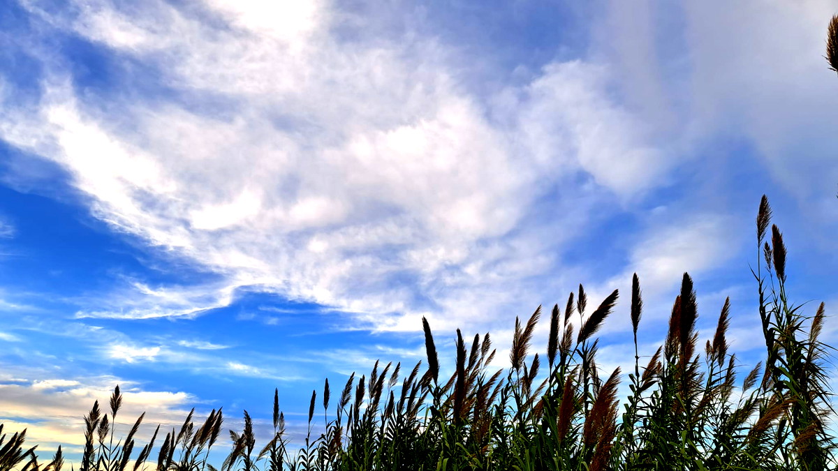 حالة الطّقس: أجواء غائمة جزئيًا ولا يطرأ تغيير يُذكر على درجات الحرارة