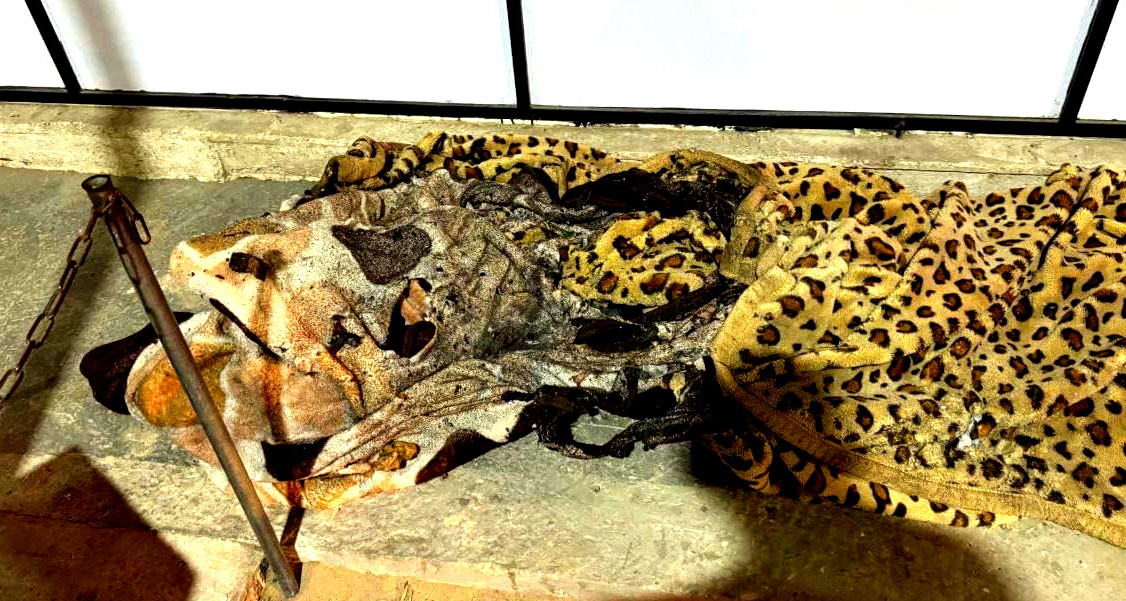 قتلى في قصف إسرائيلي على خيام نازحين بغزة 