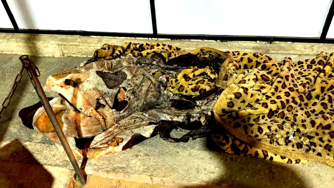 قتلى في قصف إسرائيلي على خيام نازحين بغزة