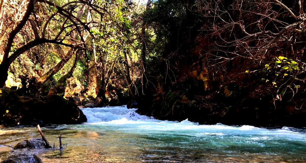 حالة الطقس: أجواء مستقرة ودافئة نهارًا وغائمة وباردة ليلًا