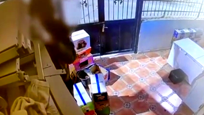 محاولة فاشلة لسرقة خزنة باستخدام منشار كهربائي بالقدس