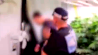 لائحة اتهام ضد زوجين من العفولة وشخص ثالث بشبهة زراعة وترويج المخدرات