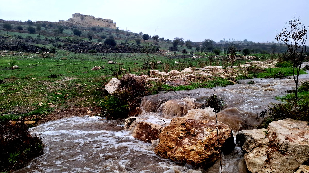 منذ بدء عاصفة"بايرون" : هطلت 150 ملم من الأمطار في منطقة حيفا