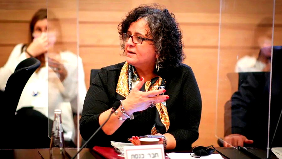 توما-سليمان تقدّم مقترح حجب الثقة عن الحكومة وتصرّح: حكومة الحروب تدفع نحو إشعال المنطقة والحرب الوحيدة التي تتجنّبها هي مناهضة الجريمة