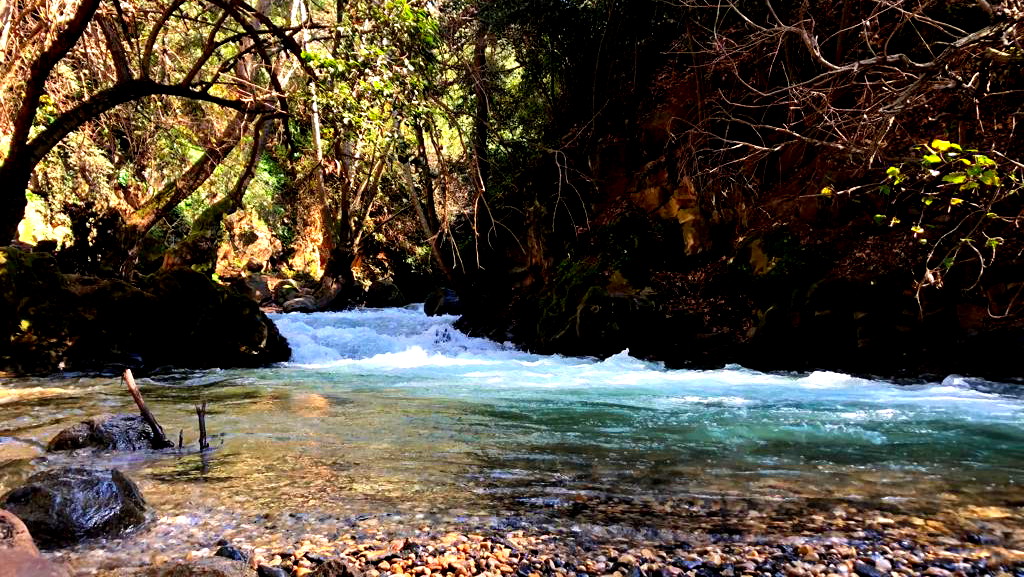 حالة الطقس: أجواء صافية ويطرأ ارتفاع على درجات الحرارة