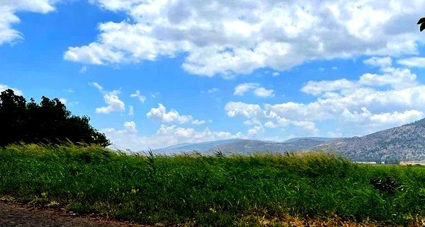 طقس مشمساً ما بين غائمٍ جزئياً وغائم وبارداً خلال ساعات النهار فوق الجبال وبارداً نسبياً في المناطق المنخفضة