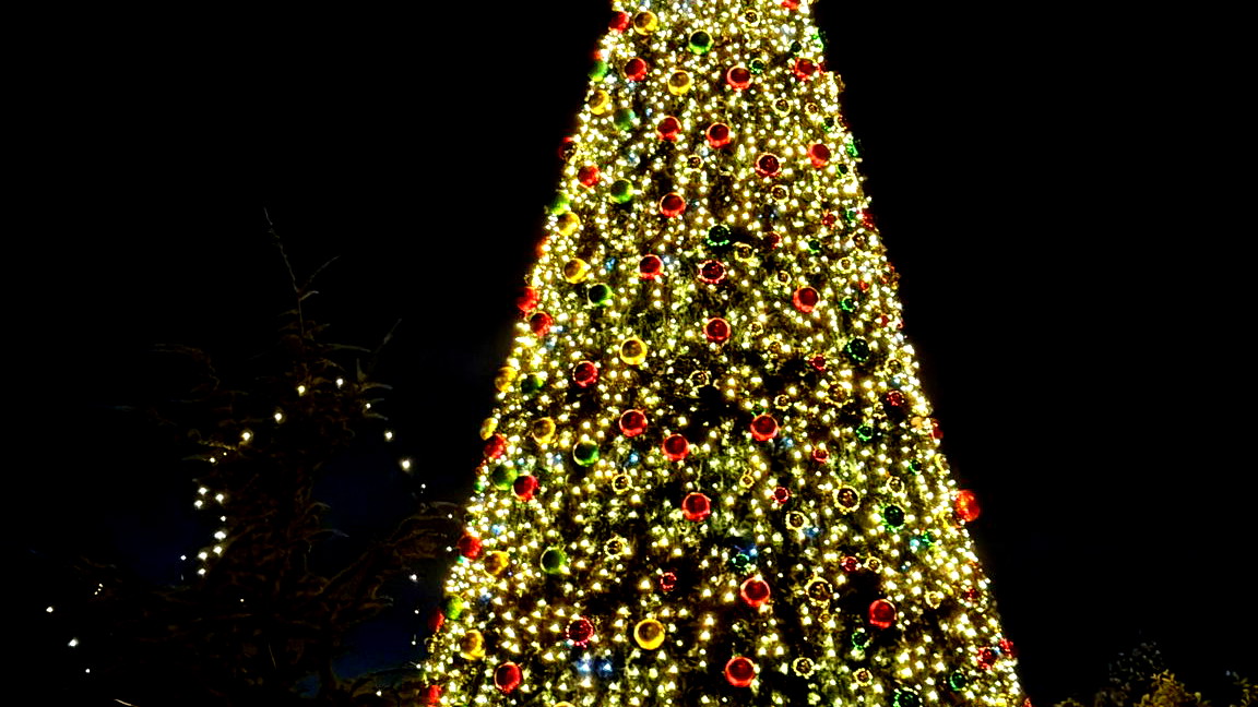 سخنين:احتفال الطائفة الأرثوذكسية بعيد إضاءة شجرة الميلاد 