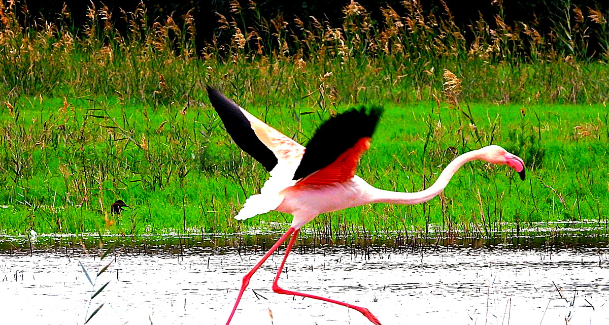 حالة الطقس : لن يطرأ تغير يذكر على الأجواء وعلى درحات الحرارة