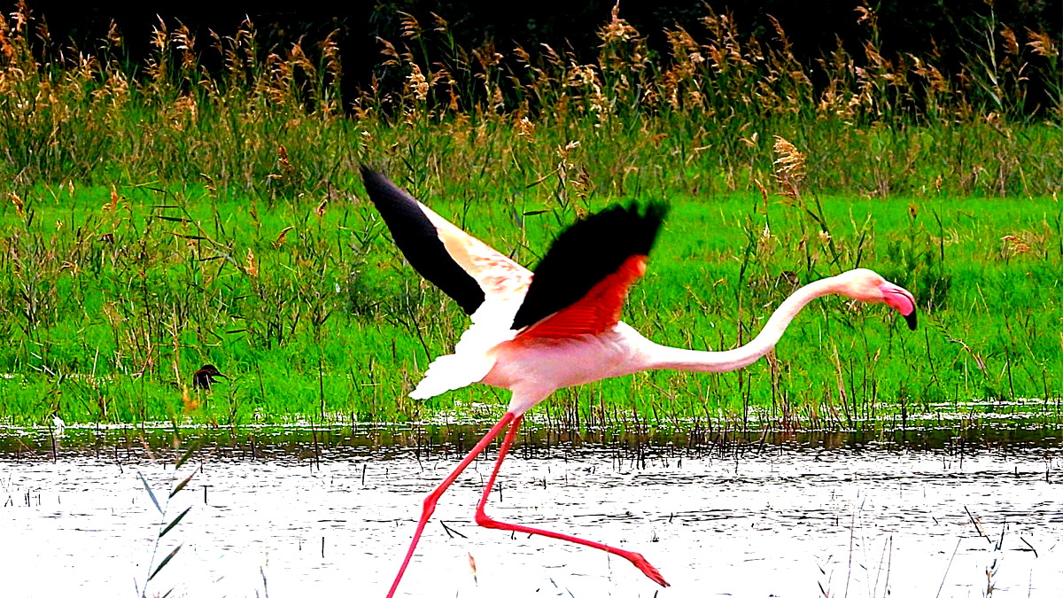 حالة الطقس : لن يطرأ تغير يذكر على الأجواء وعلى درحات الحرارة