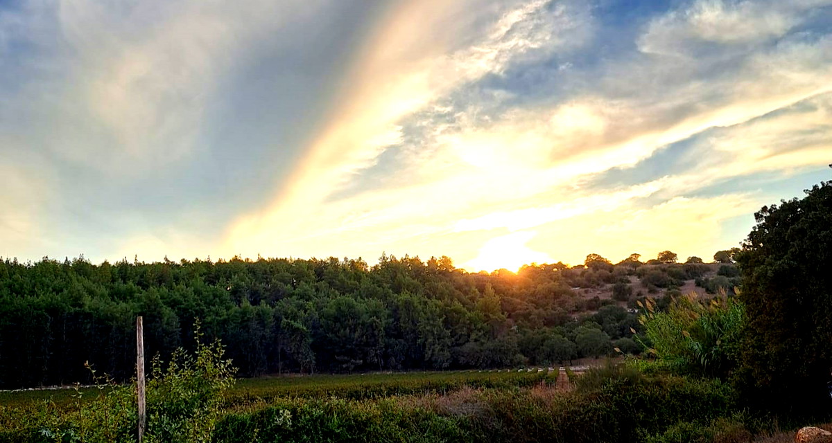حالة الطّقس: أجواء غائمة جزئيًا باردة ولا يطرأ تغيير يُذكر على درجات الحرارة