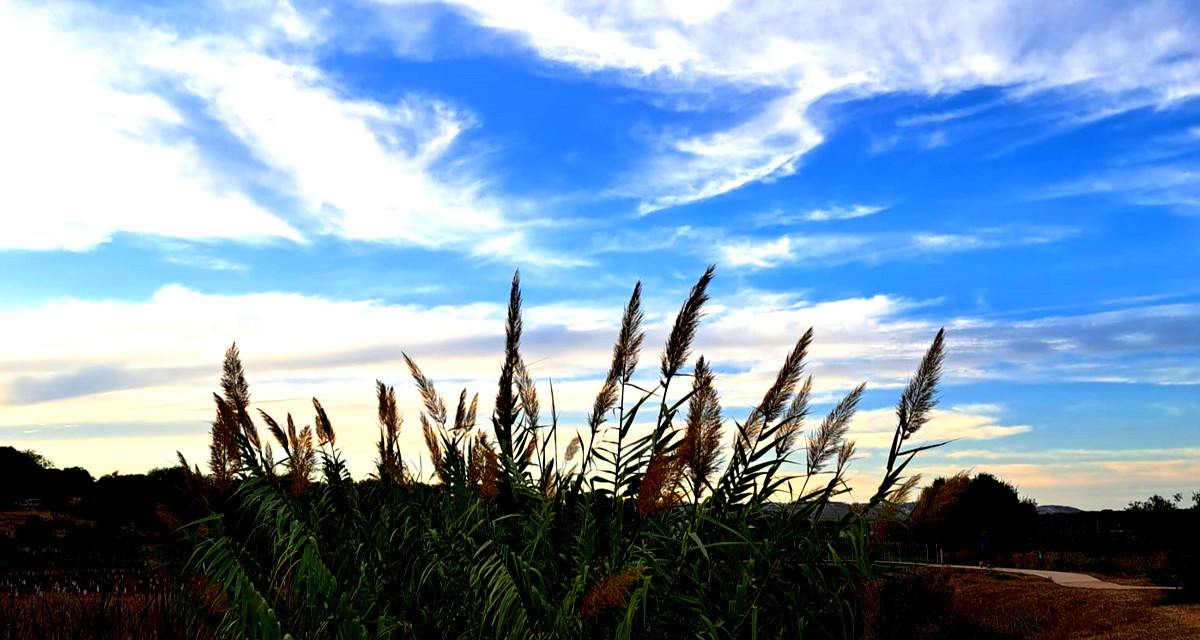 حالة الطّقس: أجواء غائمة جزئيًا باردة ويطرأ انخفاض طفيف على درجات الحرارة 