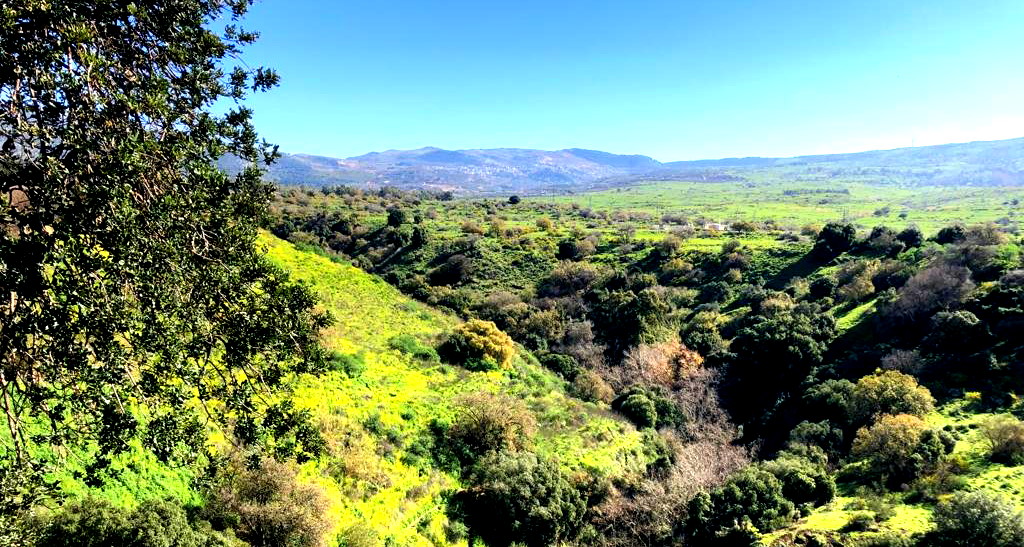 حالة الطقس: أجواء صافية ويطرأ ارتفاع طفيف على درجات الحرارة 