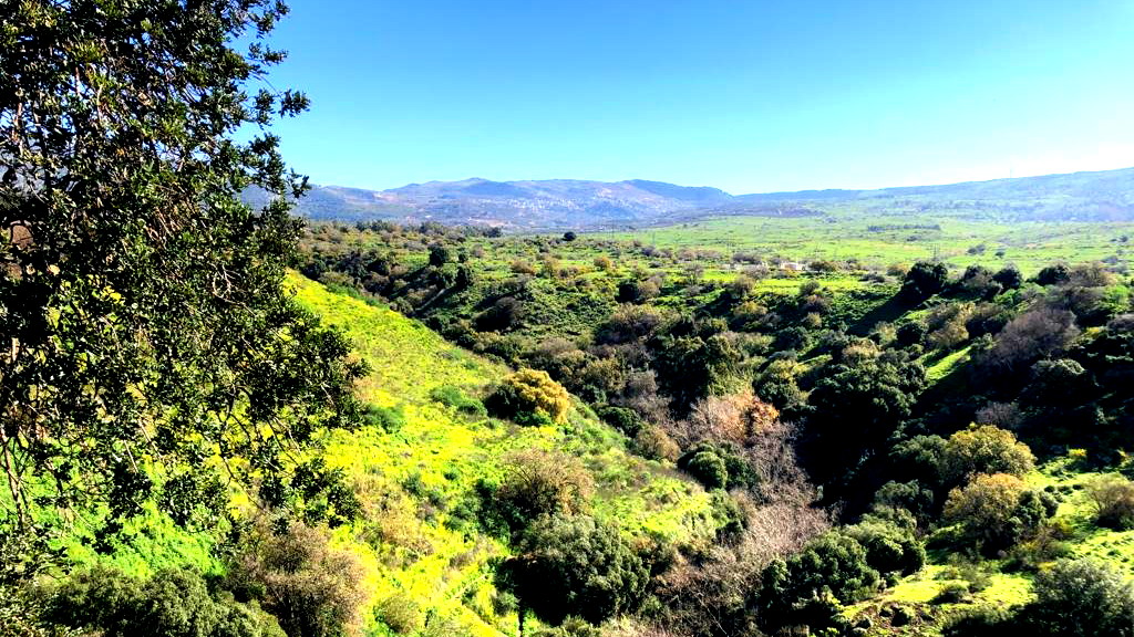 حالة الطقس: أجواء صافية ويطرأ ارتفاع طفيف على درجات الحرارة