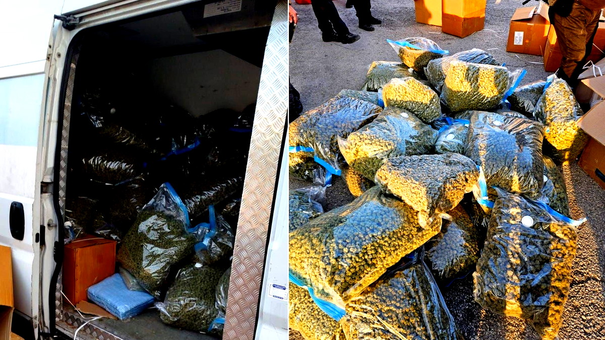 إحباط محاولة تهريب مخدرات في حاجز الزعيّم: ضبط مئات الكيلوغرامات واعتقال السائق من ريشون لتسيون