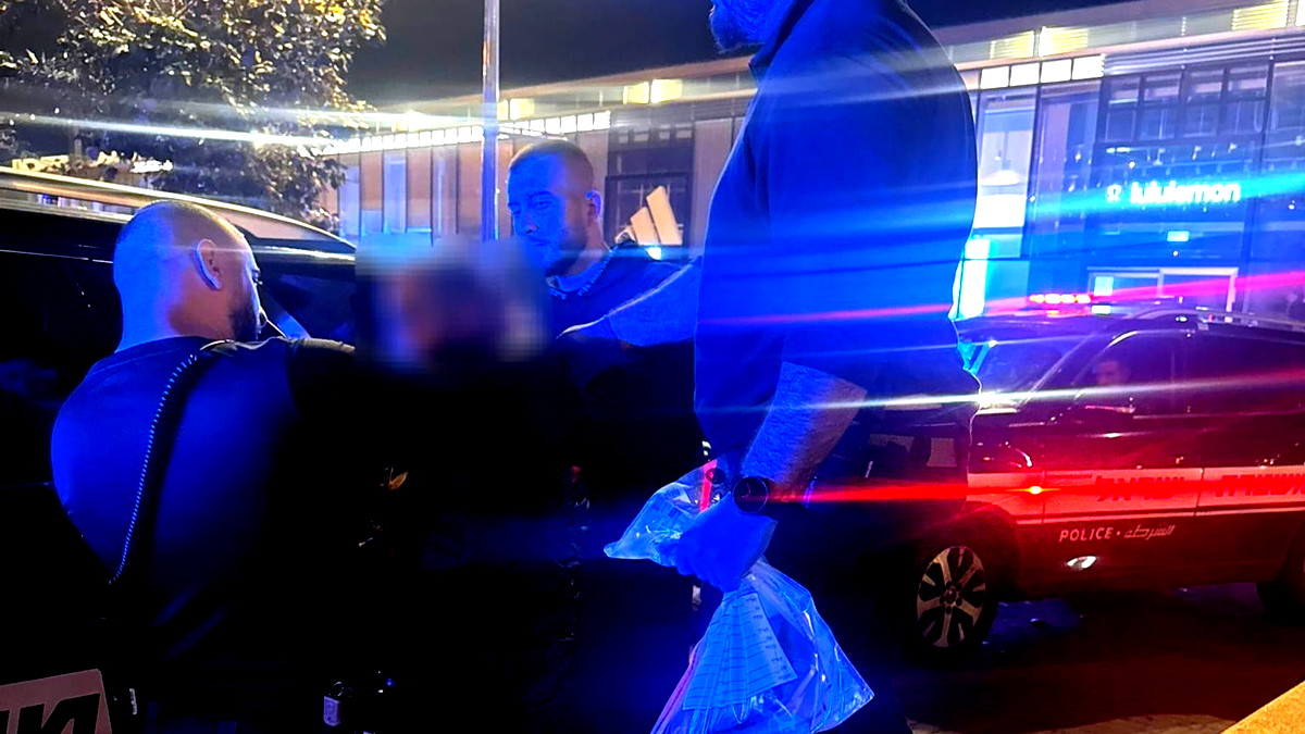 توقيف شابين من اللد وحورة بشبهة سرقة ممتلكات في ميناء تل أبيب