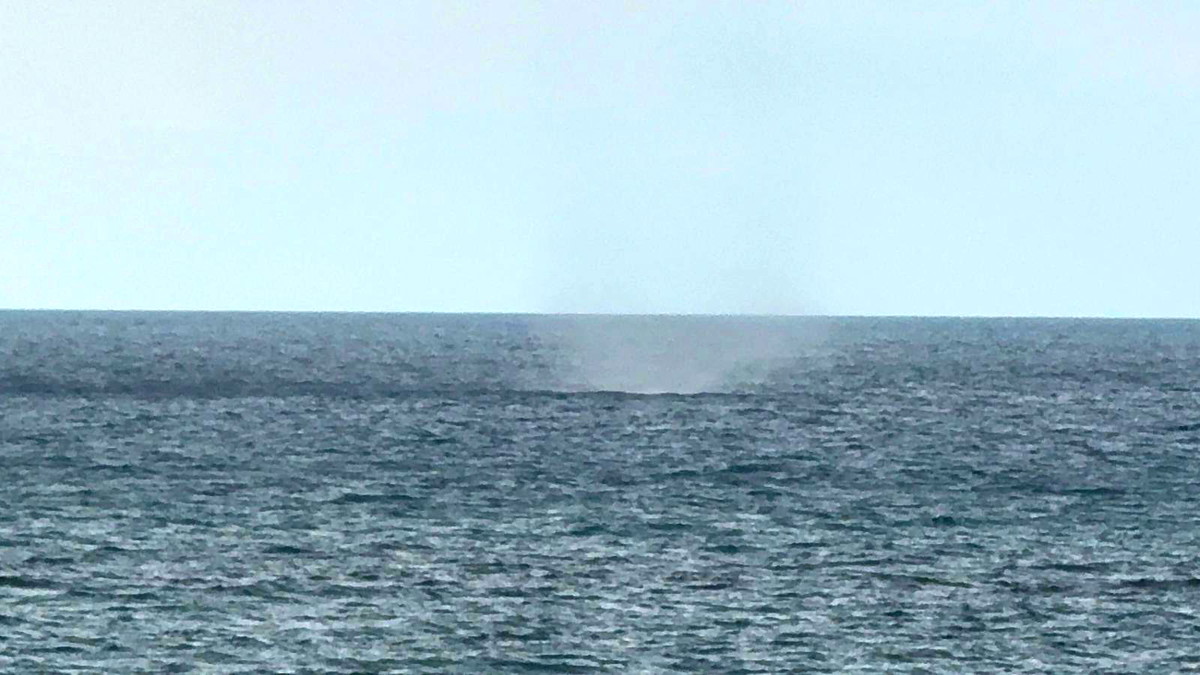 الطقس..أجواء باردة ومنخفض جوي عميق الإثنين