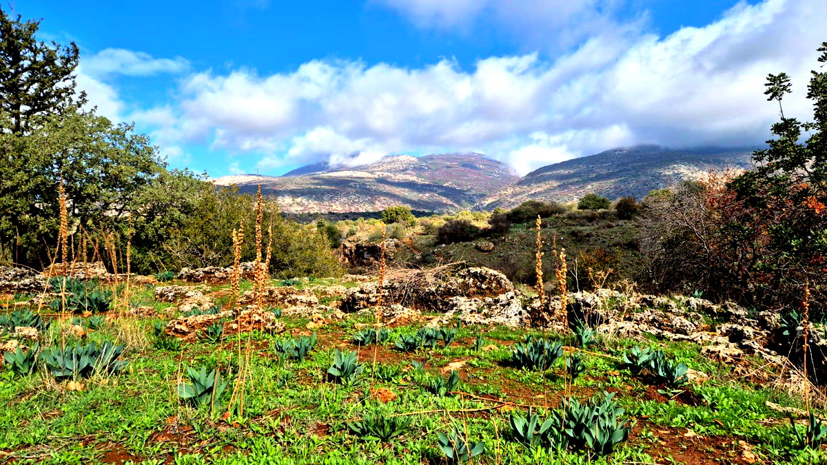 حالة الطقس: أجواء شتوية متقلبة حتى الثلاثاء