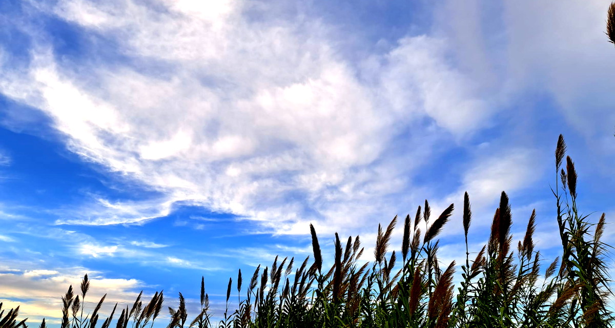 وزارتا الصّحة وحماية البيئة: توقعات بحدوث تدهور ملحوظ في جودة الهواء خلال السّاعات القريبة- يُنصَح بتقليل النشاط البدني خارج المنزل 