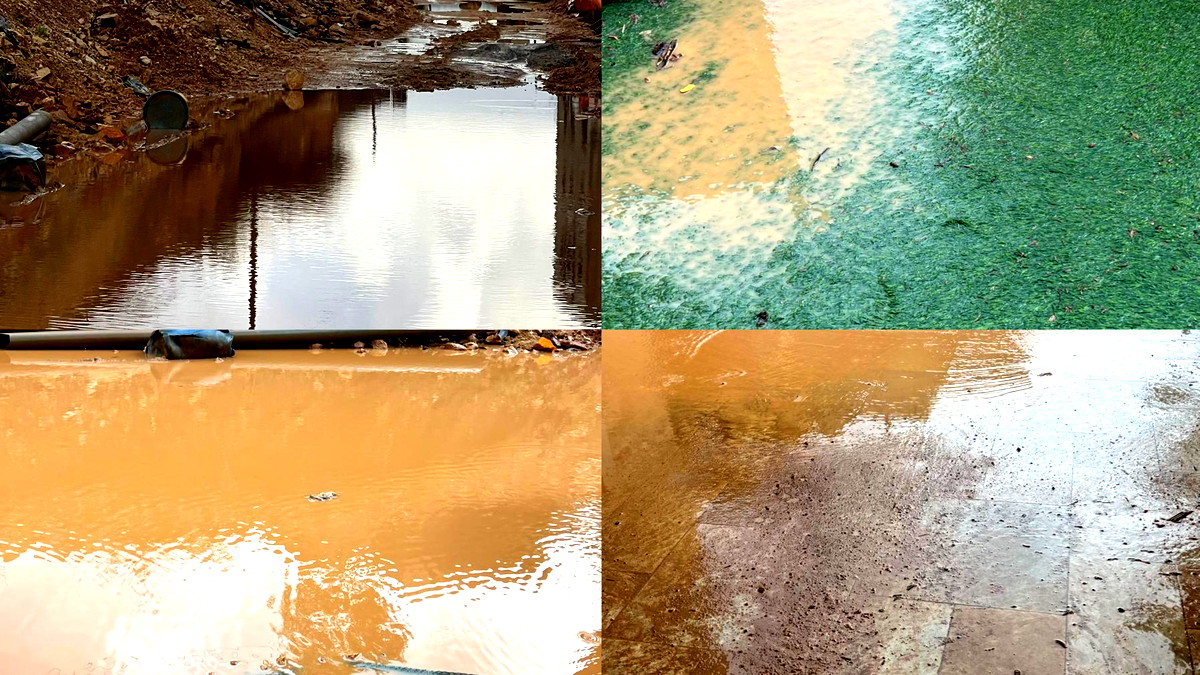 أمطار الخير تكشف رداءة البُنى التّحتية! فيضانات وسيول جارفة تشلّ حركة التنقل في مدينة عرابة