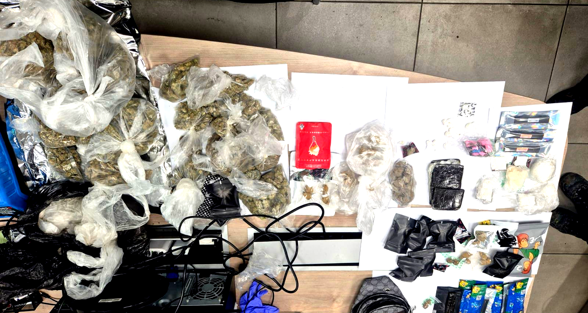 ضبط كمية تجارية من أنواع مختلفة من المخدرات في يركا 